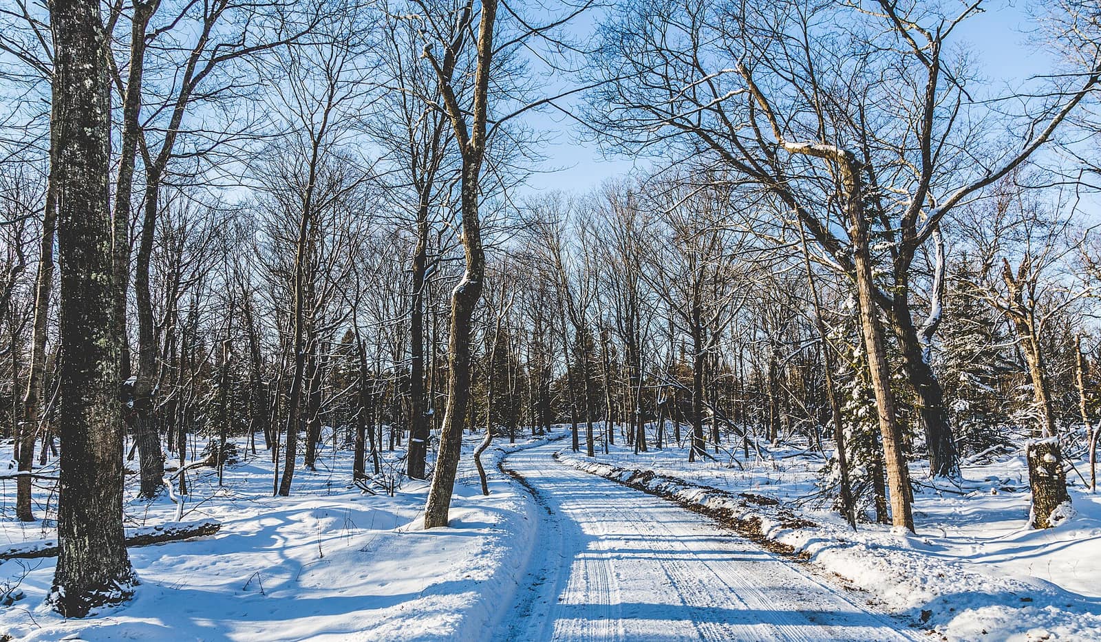 Snow-covered road winding through bare hardwood trees at Shivering Sands State Recreation Area in Door County, Wisconsin in winter