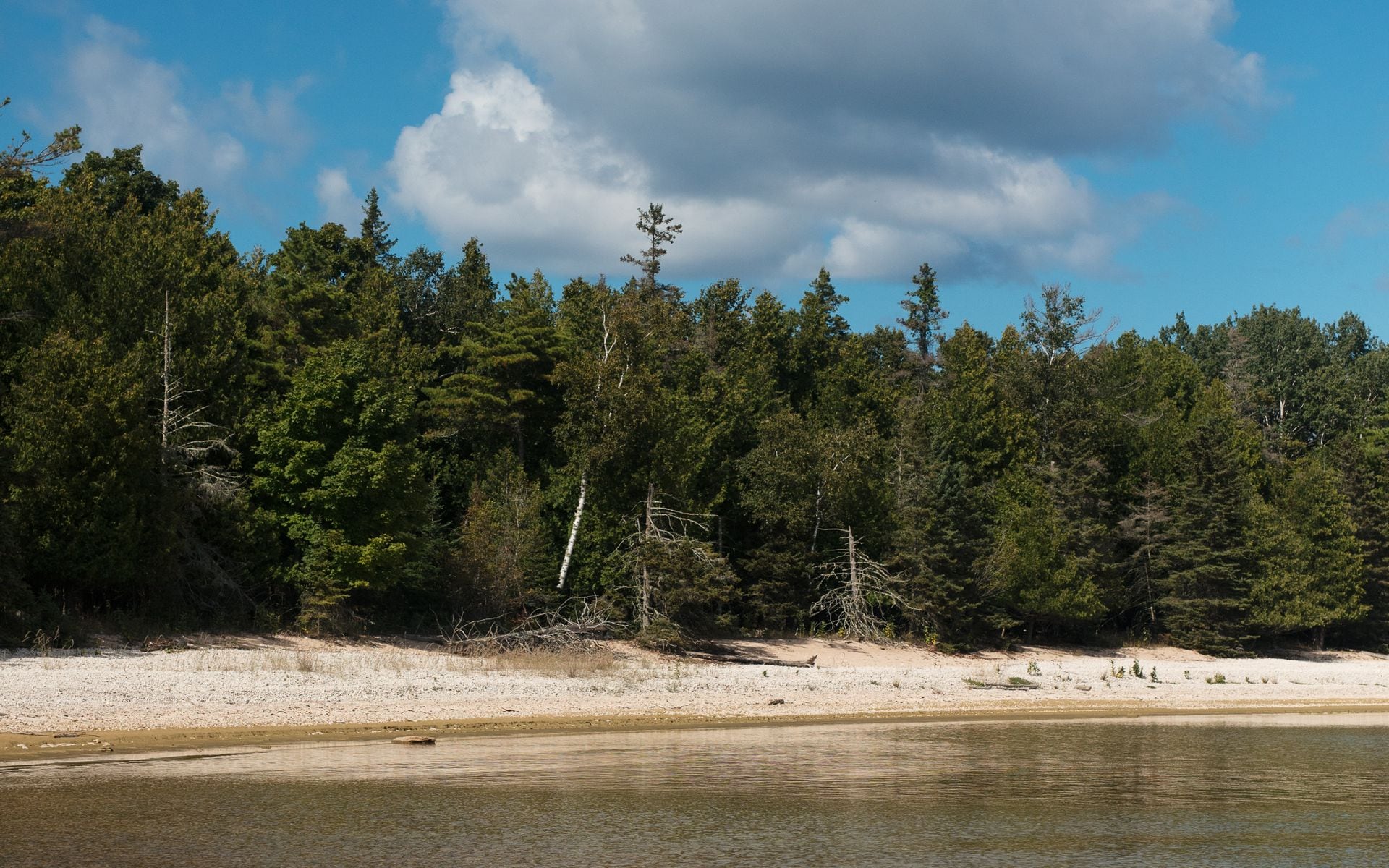 Children running toward a sandy beach on a clear Wisconsin lake on a sunny summer day