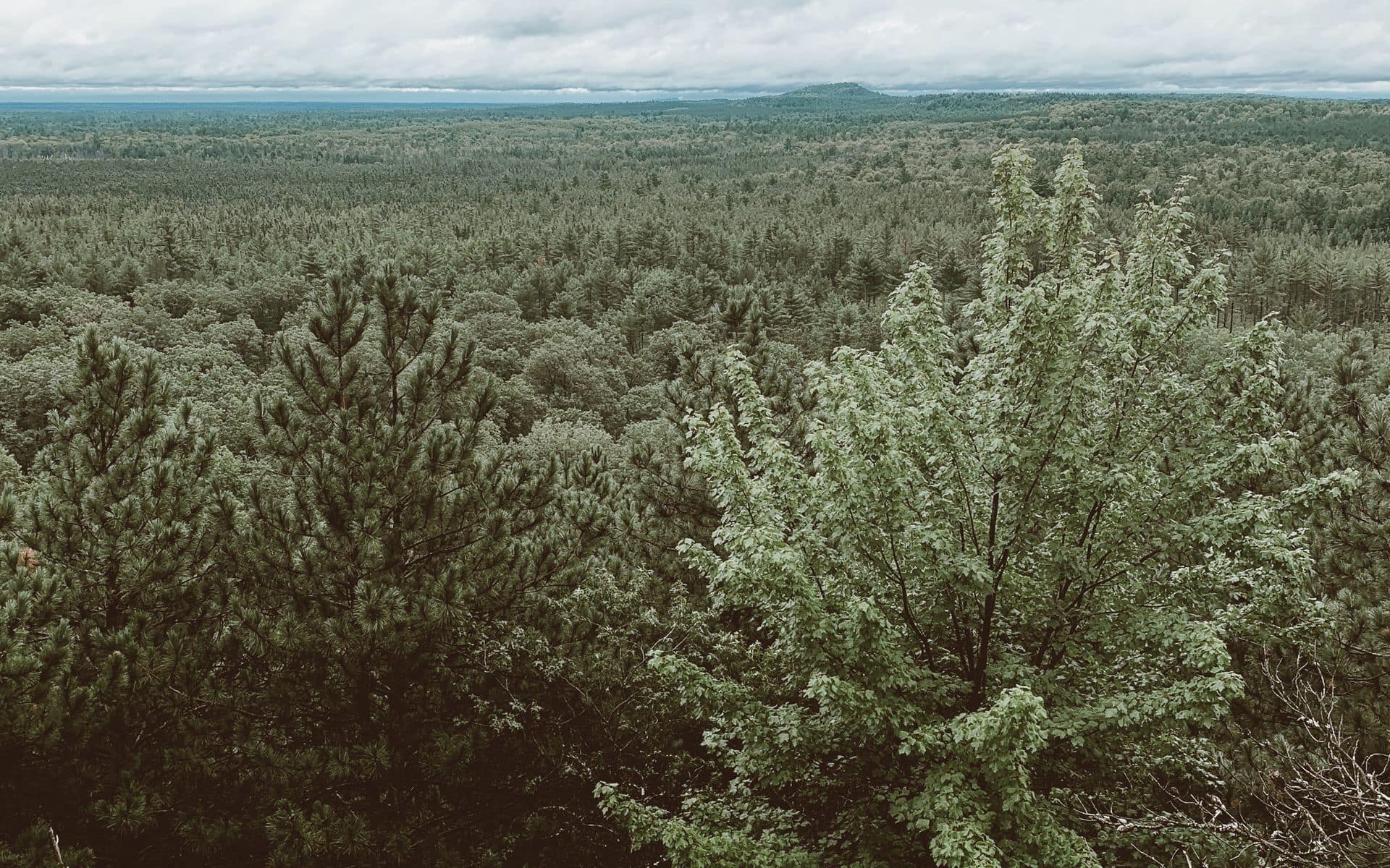 Wisconsin Dells in Wisconsin