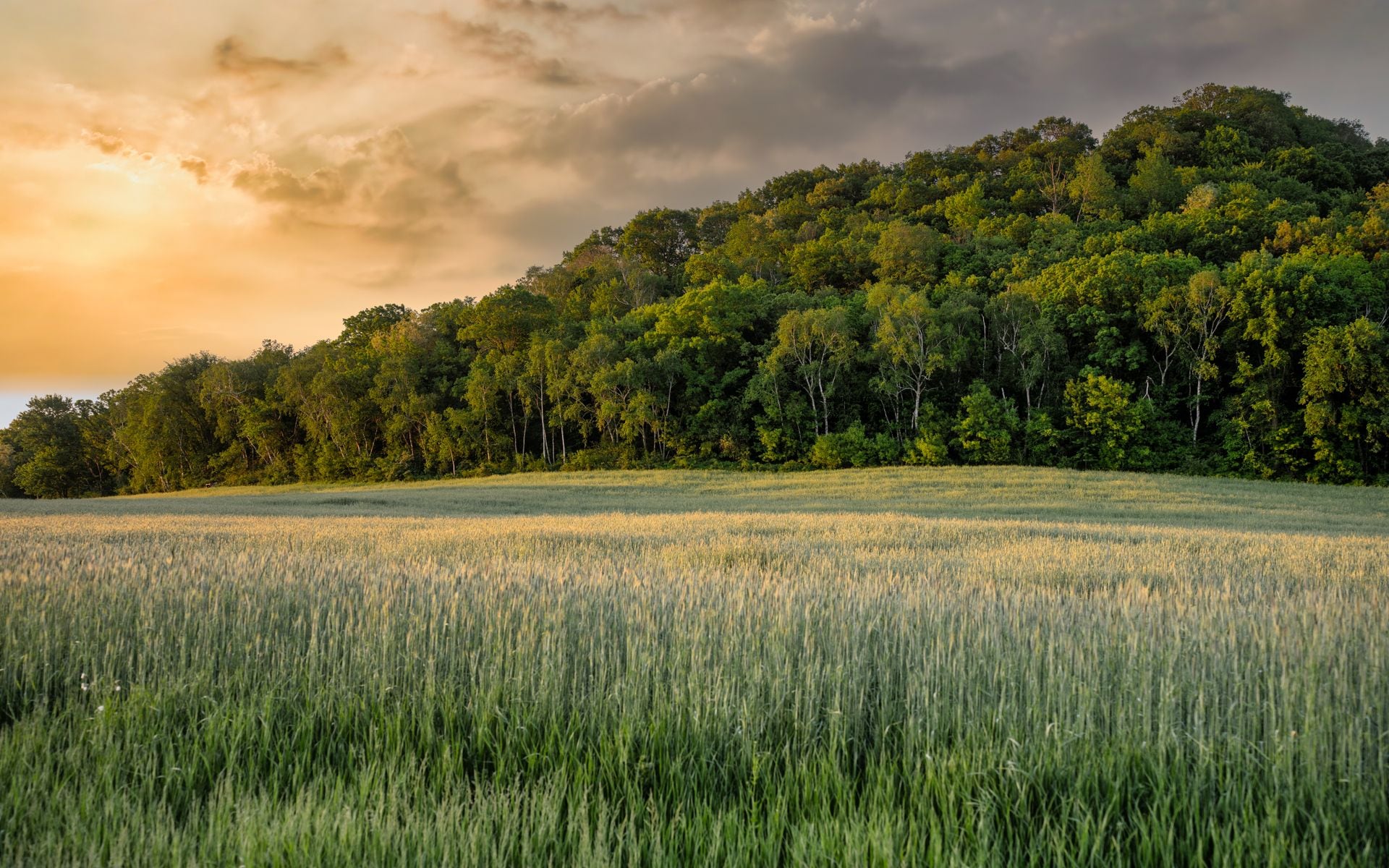 When to See Wisconsin Fall Color in Wisconsin
