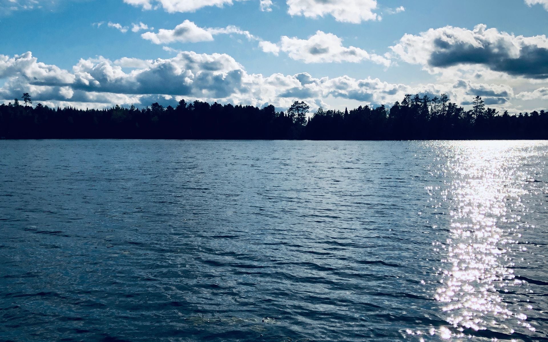 Northwoods in Wisconsin