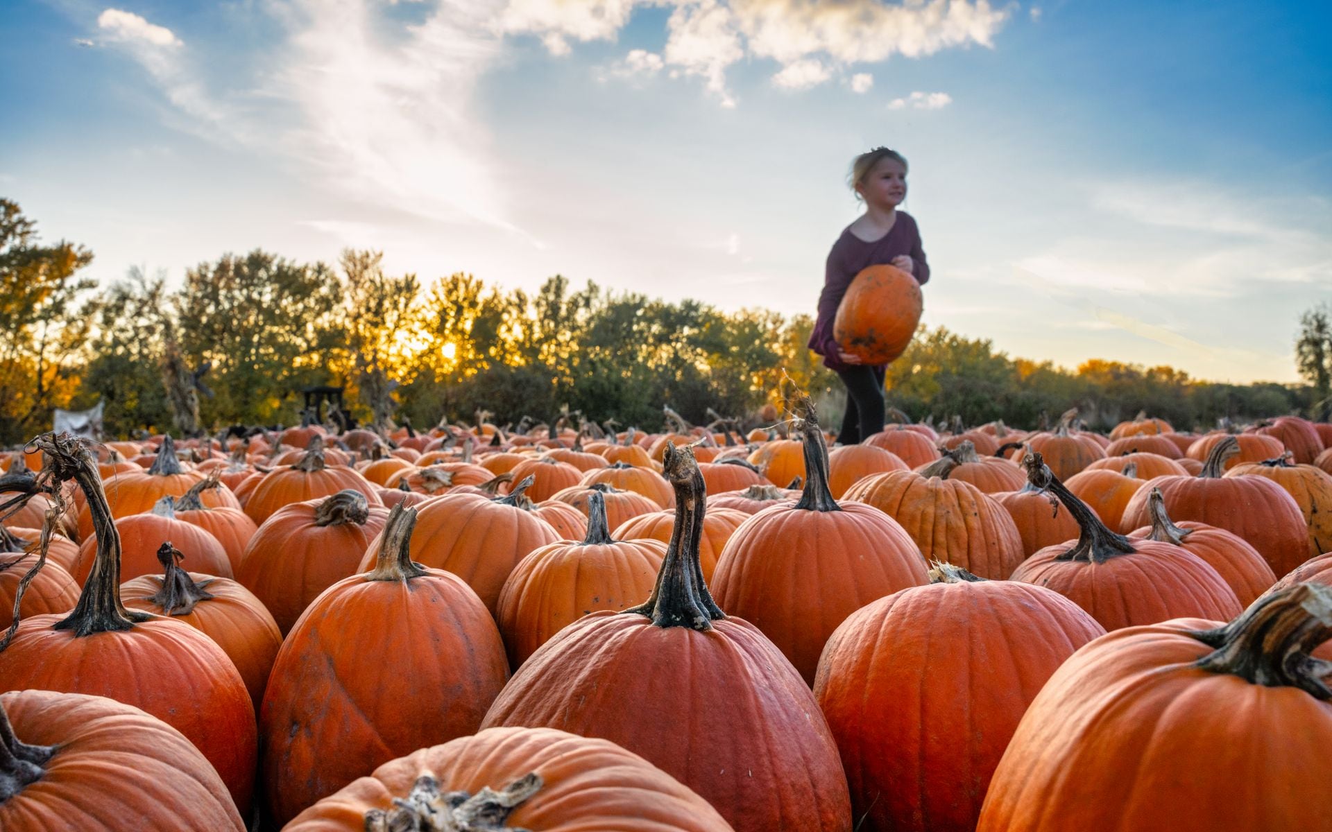 Festivals and Fairs in Wisconsin