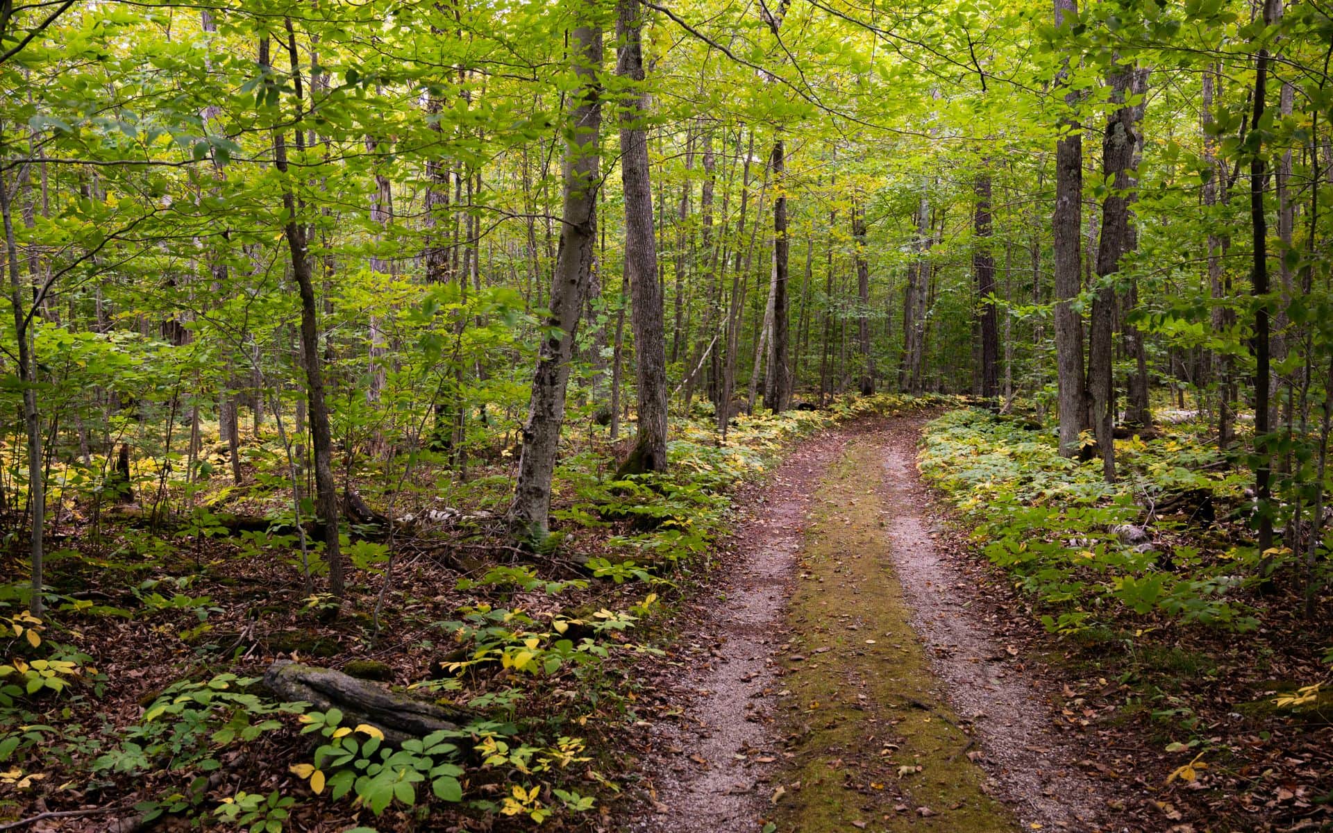Hiking in Wisconsin